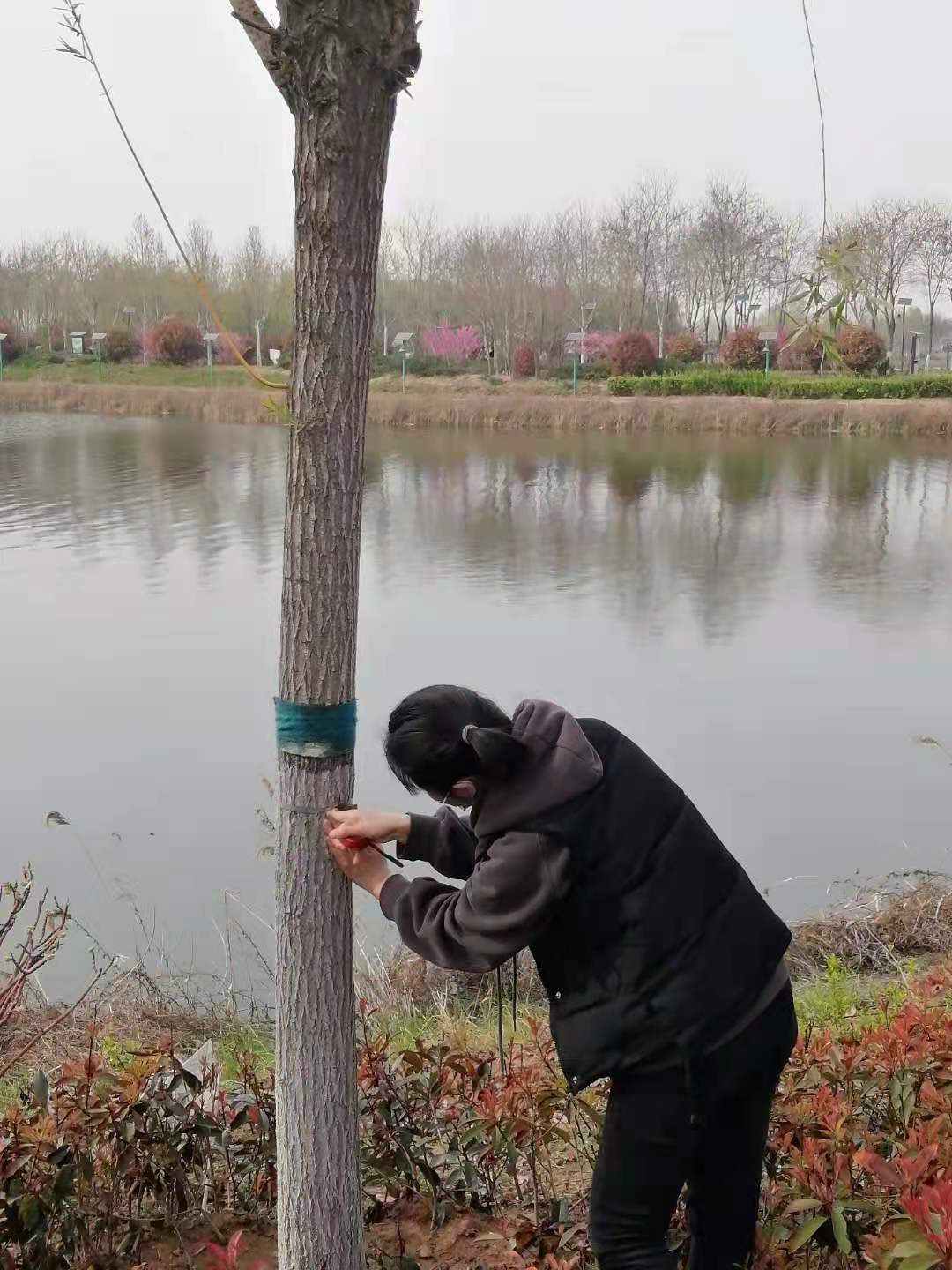 1617783341313042.jpg 1617783341313042.jpg