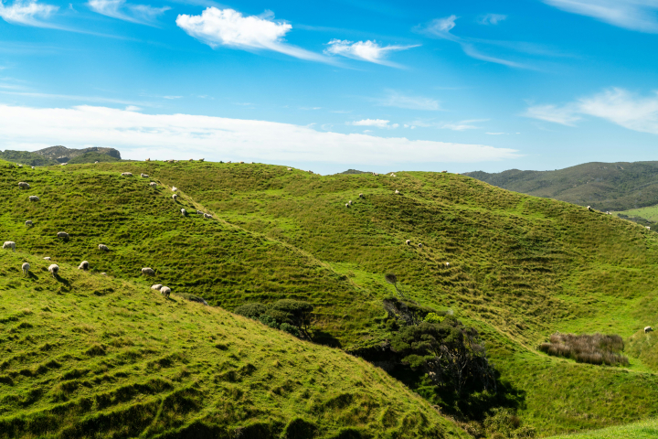 1725333170953907.jpg 农村1 (2).jpg